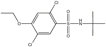 N-(tert-butyl)-2,5-dichloro-4-ethoxybenzenesulfonamide 结构式