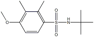 N-(tert-butyl)-4-methoxy-2,3-dimethylbenzenesulfonamide 结构式