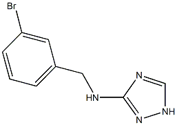 N-(3-bromobenzyl)-N-(1H-1,2,4-triazol-3-yl)amine 结构式