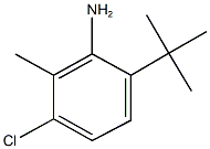 6-tert-butyl-3-chloro-2-methylphenylamine 结构式