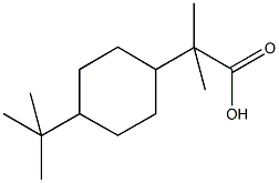 2-(4-tert-butylcyclohexyl)-2-methylpropanoic acid 结构式
