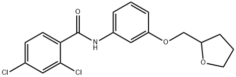 2,4-dichloro-N-[3-(tetrahydro-2-furanylmethoxy)phenyl]benzamide 结构式