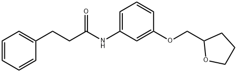 3-phenyl-N-[3-(tetrahydro-2-furanylmethoxy)phenyl]propanamide 结构式