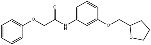 2-phenoxy-N-[3-(tetrahydro-2-furanylmethoxy)phenyl]acetamide 结构式