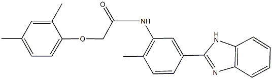 N-[5-(1H-benzimidazol-2-yl)-2-methylphenyl]-2-(2,4-dimethylphenoxy)acetamide 结构式