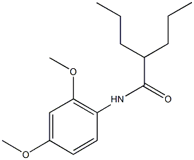 N-(2,4-dimethoxyphenyl)-2-propylpentanamide 结构式