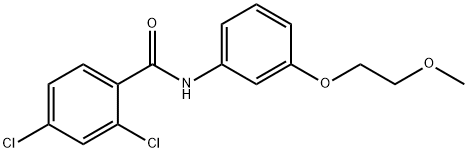 2,4-dichloro-N-[3-(2-methoxyethoxy)phenyl]benzamide 结构式