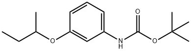 tert-butyl 3-(sec-butoxy)phenylcarbamate 结构式