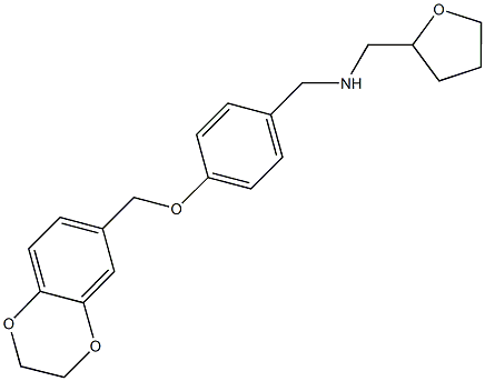 N-[4-(2,3-dihydro-1,4-benzodioxin-6-ylmethoxy)benzyl]-N-(tetrahydro-2-furanylmethyl)amine 结构式