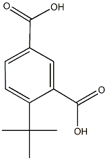 4-tert-butylisophthalic acid 结构式