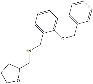 N-[2-(benzyloxy)benzyl]-N-(tetrahydro-2-furanylmethyl)amine 结构式