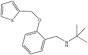 N-(tert-butyl)-N-[2-(2-thienylmethoxy)benzyl]amine 结构式