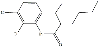 N-(2,3-dichlorophenyl)-2-ethylhexanamide 结构式