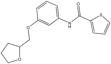 N-[3-(tetrahydro-2-furanylmethoxy)phenyl]-2-thiophenecarboxamide 结构式