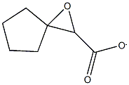 1-oxaspiro[2.4]heptane-2-carboxylate 结构式