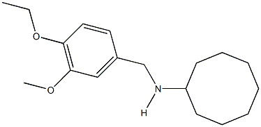 N-cyclooctyl-N-(4-ethoxy-3-methoxybenzyl)amine 结构式