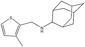 N-(2-adamantyl)-N-[(3-methyl-2-thienyl)methyl]amine 结构式