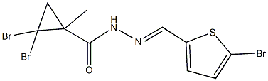 2,2-dibromo-N'-[(5-bromo-2-thienyl)methylene]-1-methylcyclopropanecarbohydrazide 结构式