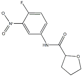 N-{4-fluoro-3-nitrophenyl}tetrahydro-2-furancarboxamide 结构式