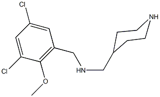 N-(3,5-dichloro-2-methoxybenzyl)-N-(4-piperidinylmethyl)amine 结构式