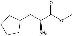 2-氨基环戊烷甲酸甲酯 结构式