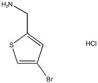 4-溴-2-氨甲基噻吩盐酸盐 结构式