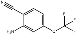 2-Amino-4-(trifluoromethoxy)benzonitrile