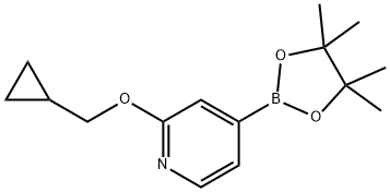 2-(CYCLOPROPYLMETHOXY)-4-(4,4,5,5-TETRAMETHYL-1,3,2-DIOXABOROLAN-2-YL)PYRIDINE 结构式