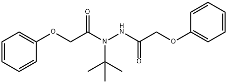 N-(tert-butyl)-2-phenoxy-N'-(2-phenoxyacetyl)acetohydrazide 结构式