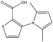 3-(2,5-dimethyl-1H-pyrrol-1-yl)thiophene-2-carboxylic acid 结构式