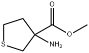 3-氨基硫杂环戊烷-3-羧酸甲酯 结构式