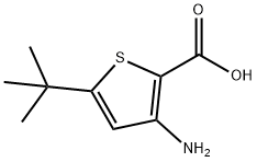 2-Thiophenecarboxylicacid,3-amino-5-(1,1-dimethylethyl)-(9CI) 结构式