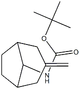 N-{3-亚甲基双环[3.2.1]辛-8-基}氨基甲酸叔丁酯 结构式