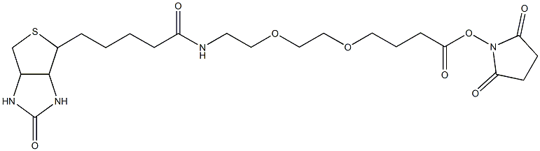 生物素-PEG-N-羟基琥珀酰亚胺 结构式