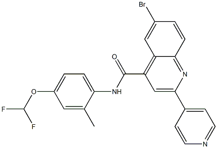 6-bromo-N-[4-(difluoromethoxy)-2-methylphenyl]-2-pyridin-4-ylquinoline-4-carboxamide 结构式