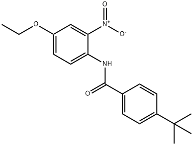 4-tert-butyl-N-(4-ethoxy-2-nitrophenyl)benzamide 结构式