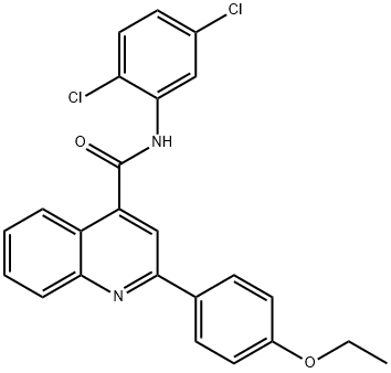 N-(2,5-dichlorophenyl)-2-(4-ethoxyphenyl)quinoline-4-carboxamide 结构式