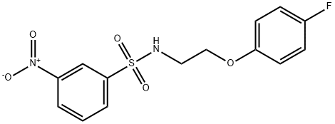 N-[2-(4-fluorophenoxy)ethyl]-3-nitrobenzenesulfonamide 结构式