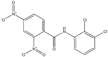 N-(2,3-dichlorophenyl)-2,4-dinitrobenzamide 结构式