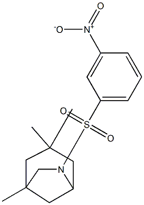 3,3,5-trimethyl-7-(3-nitrophenyl)sulfonyl-7-azabicyclo[3.2.1]octane 结构式