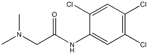 2-(dimethylamino)-N-(2,4,5-trichlorophenyl)acetamide 结构式