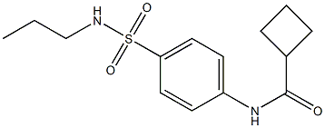 N-[4-(propylsulfamoyl)phenyl]cyclobutanecarboxamide 结构式