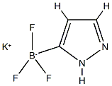 1H-吡唑-3-三氟硼酸钾 结构式