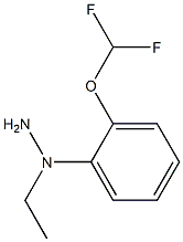 1-(1-[2-(DIFLUOROMETHOXY)PHENYL]ETHYL)HYDRAZINE 结构式