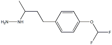 1-(4-[4-(difluoromethoxy)phenyl]butan-2-yl)hydrazine 结构式