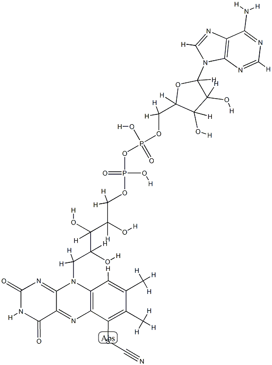 6-thiocyanato-FAD 结构式