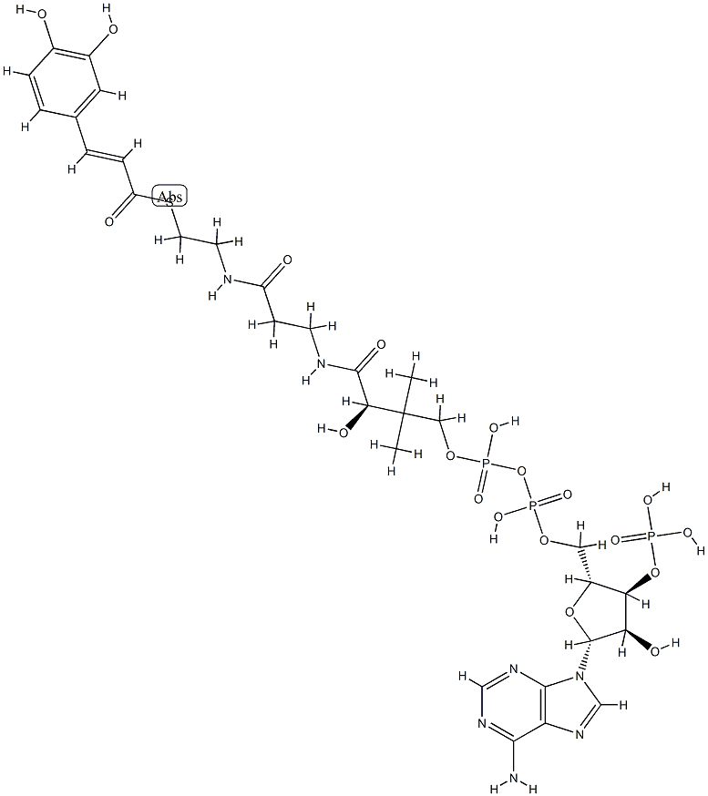 trans-caffeoyl-CoA 结构式