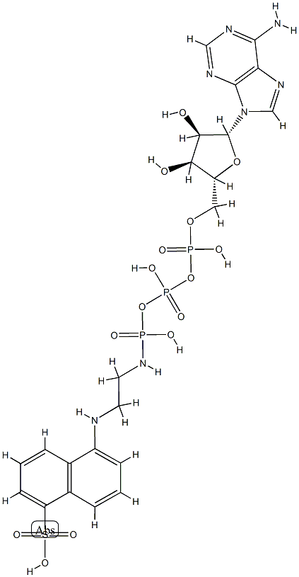 adenosine-5'-triphosphoro-gamma-1-(5-sulfonic acid)naphthyl ethylamidate 结构式