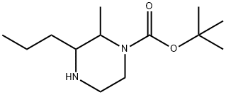 2-Methyl-3-propyl-piperazine-1-carboxylic acid tert-butyl ester 结构式