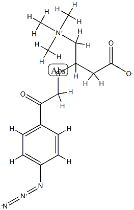 4-azidophenacetylthiocarnitine 结构式